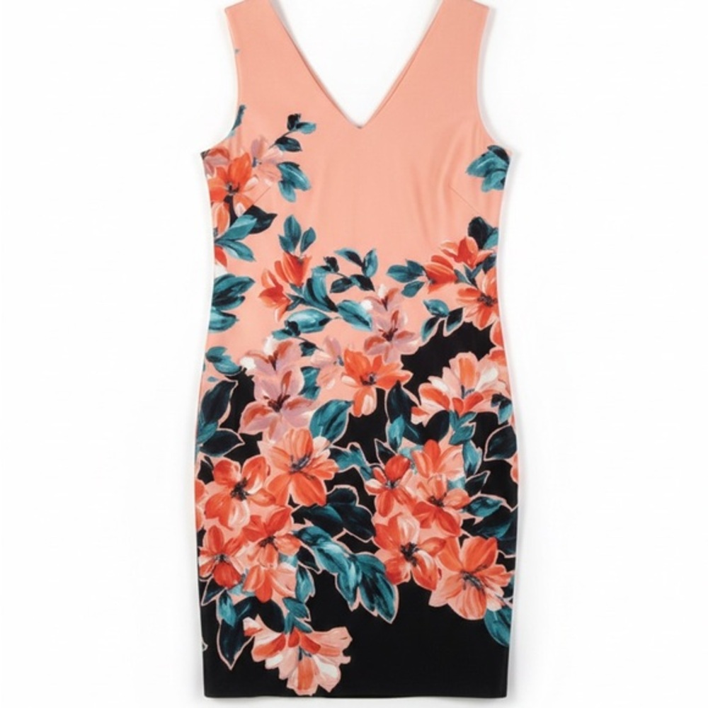 Donna Ricco New York Floral Sleeveless Sheath Dress